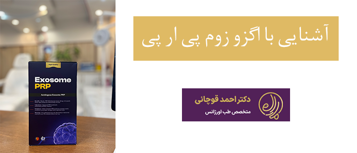 آشنایی با اگزو زوم پی ار پی