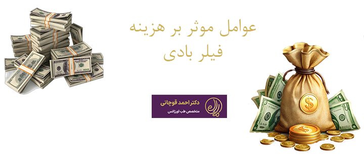 عوامل موثر بر هزینه فیلر بادی 